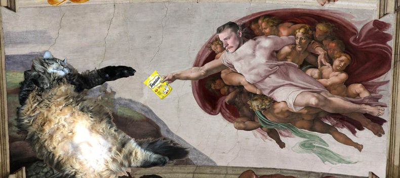 Gewoon een verzameling hilarische foto's #1596