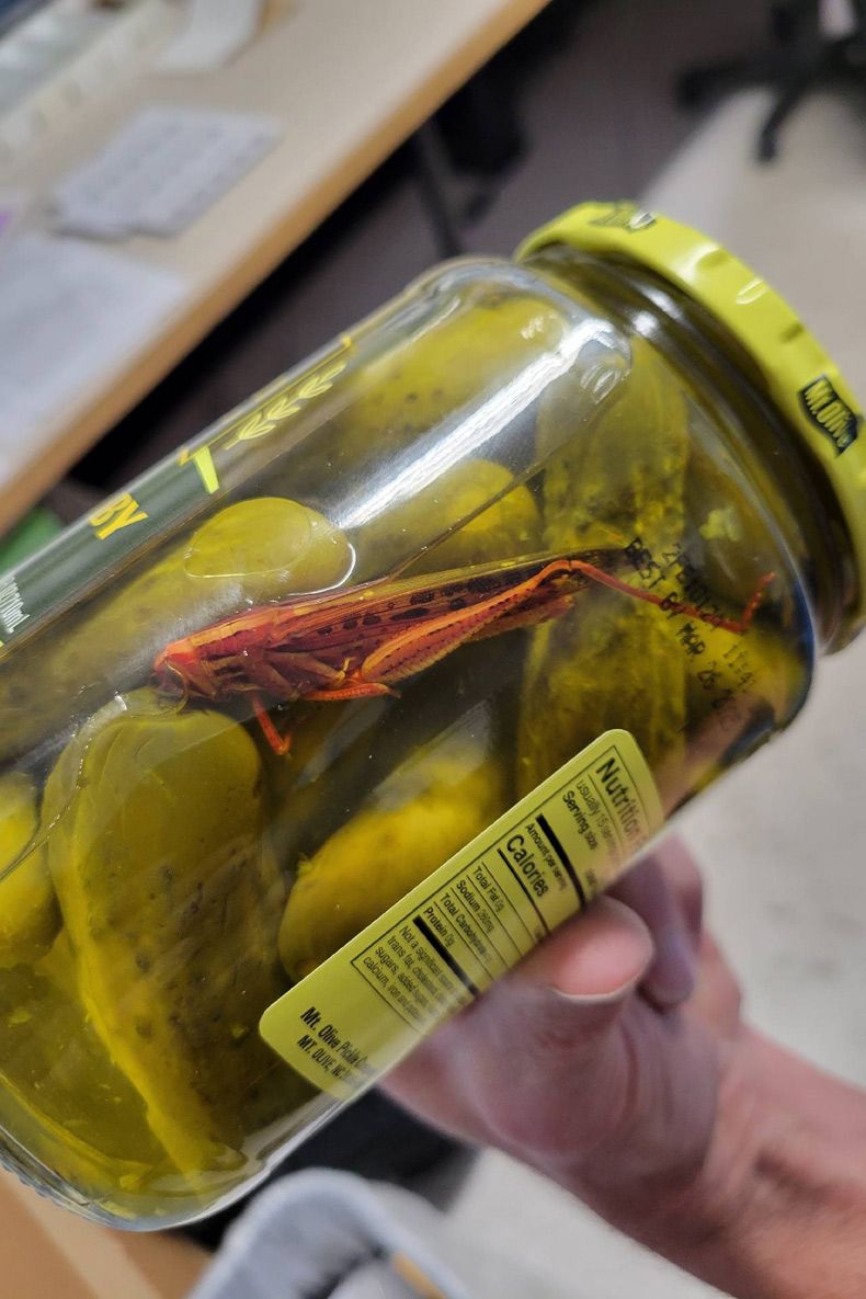 Gewoon een verzameling hilarische foto's #1596