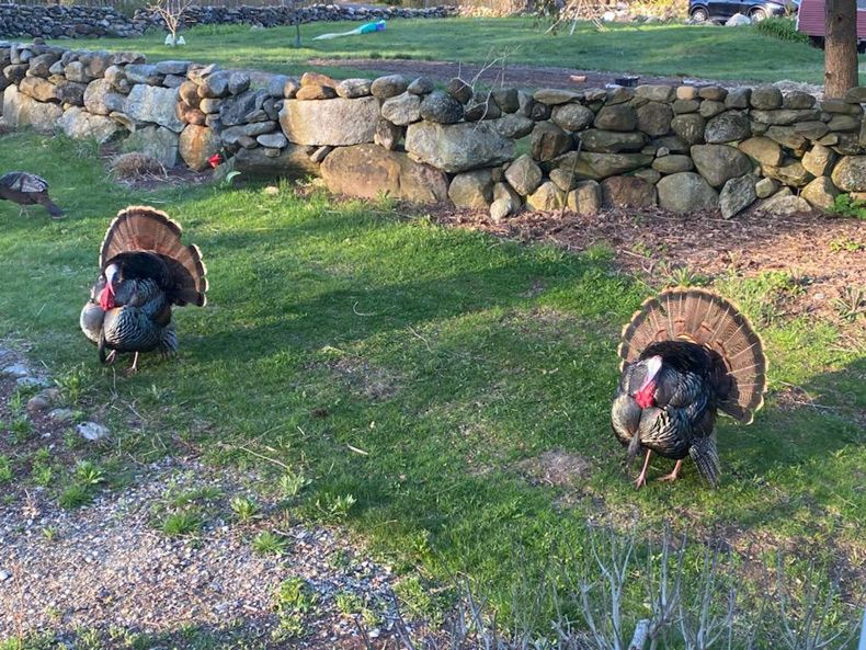 Gewoon een verzameling hilarische foto's #1596