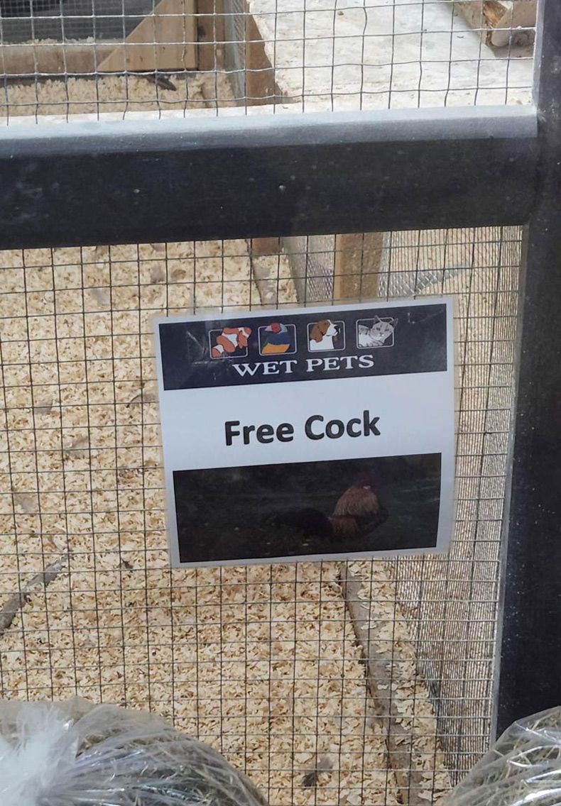 Gewoon een verzameling hilarische foto's #1596