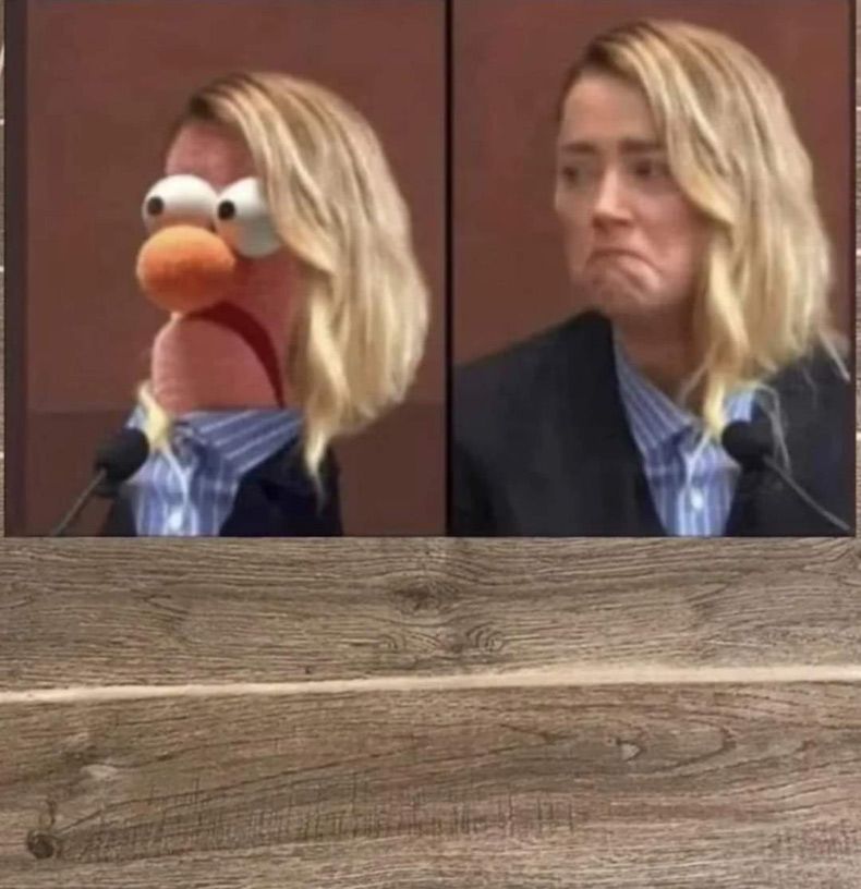 Gewoon een verzameling hilarische foto's #1596