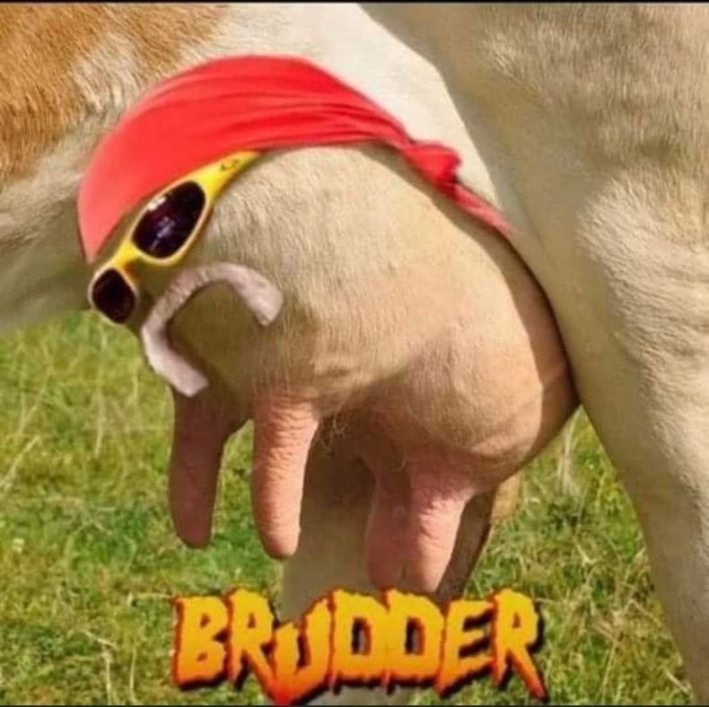 Gewoon een verzameling hilarische foto's #1596