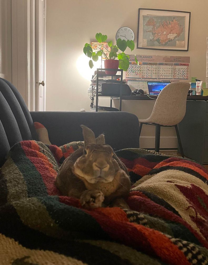 Gewoon een verzameling hilarische foto's #1596