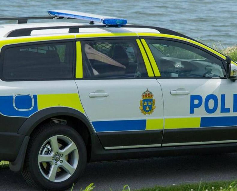 Gewoon een verzameling hilarische foto's #1598