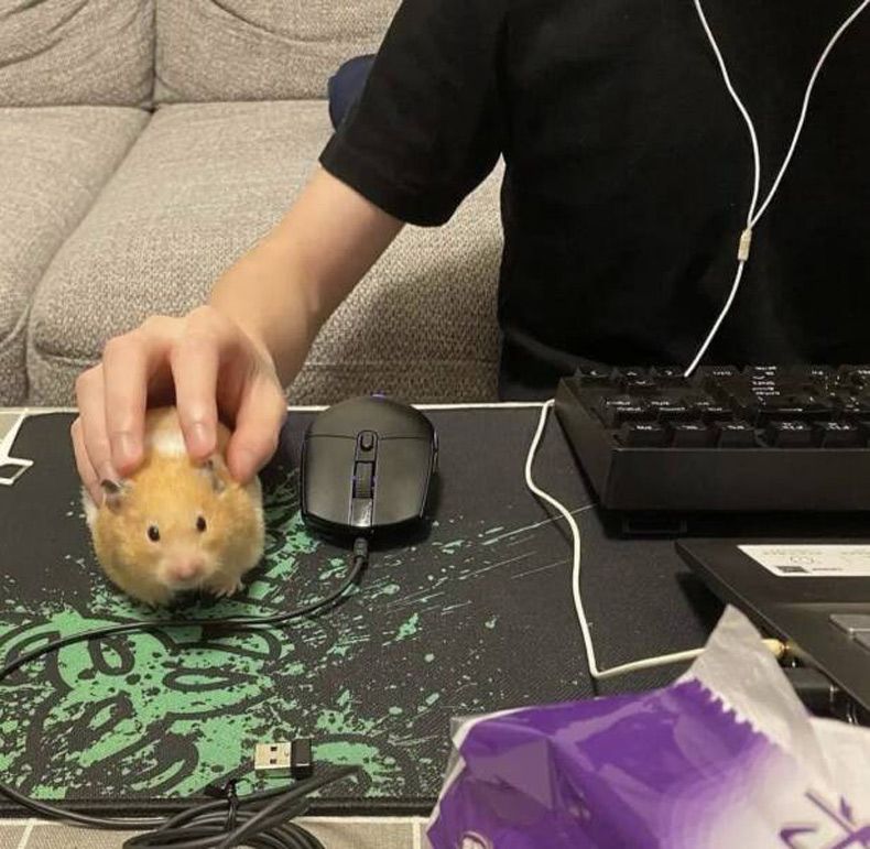 Gewoon een verzameling hilarische foto's #1598