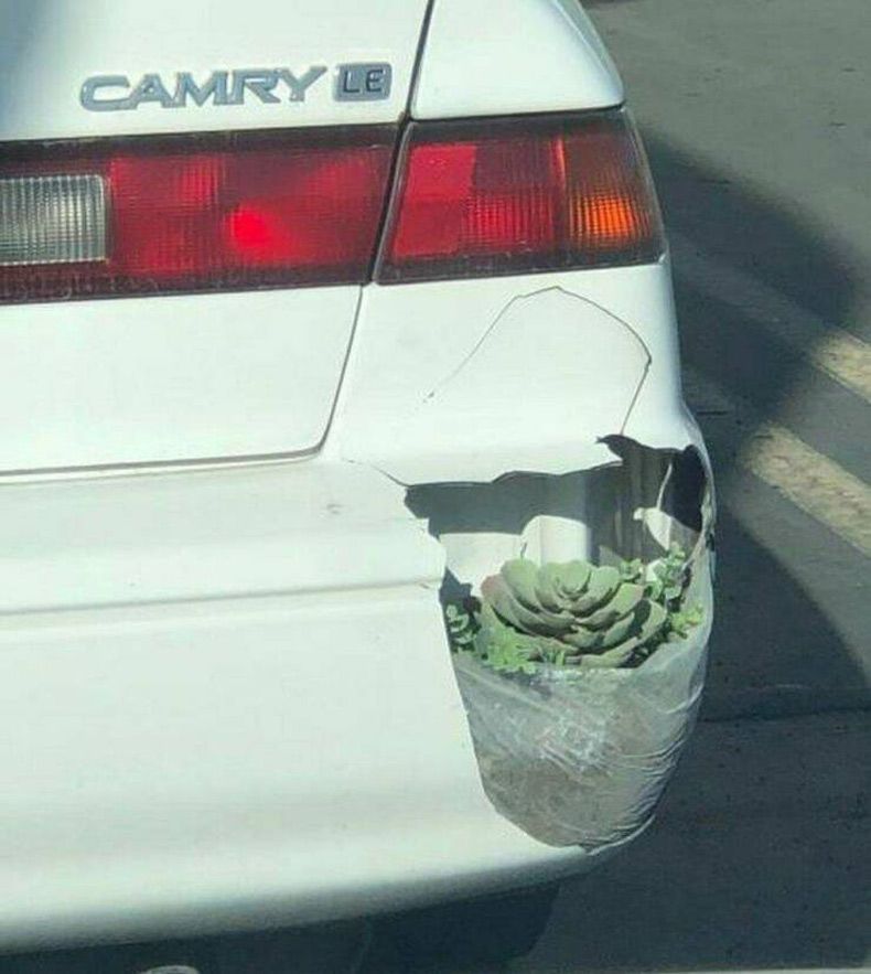 Gewoon een verzameling hilarische foto's #1598