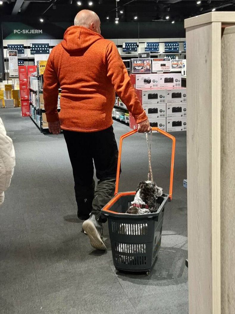 Gewoon een verzameling hilarische foto's #1598