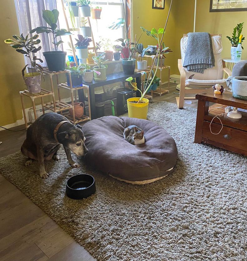 Gewoon een verzameling hilarische foto's #1598