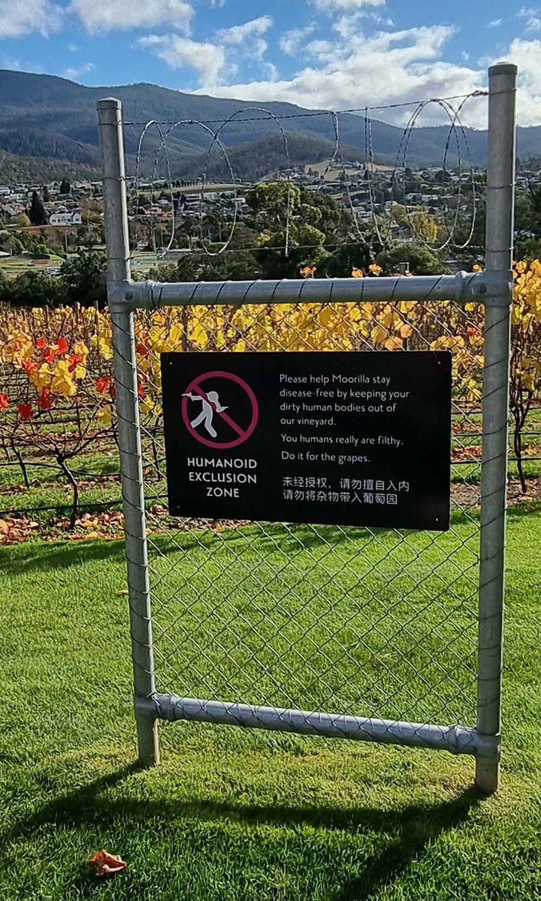 Gewoon een verzameling hilarische foto's #1598