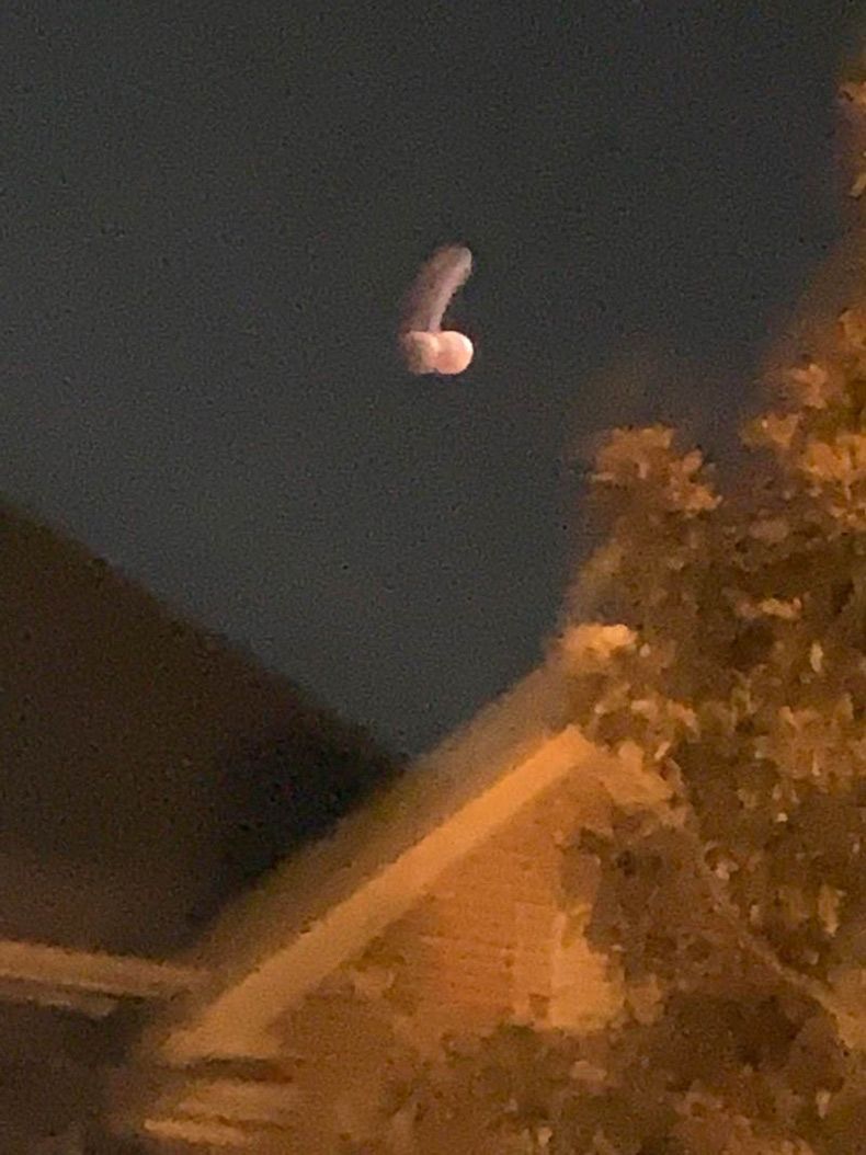 Gewoon een verzameling hilarische foto's #1598