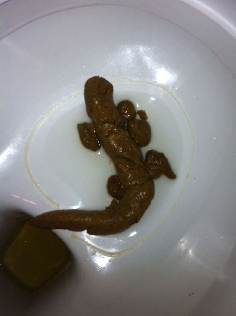 Gewoon een verzameling hilarische foto's #1598