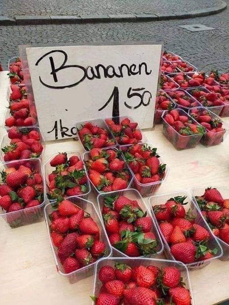 Gewoon een verzameling hilarische foto's #1598