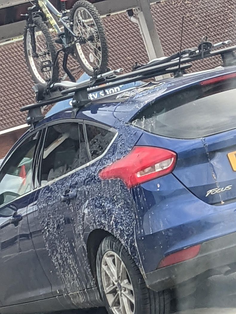 Gewoon een verzameling hilarische foto's #1598