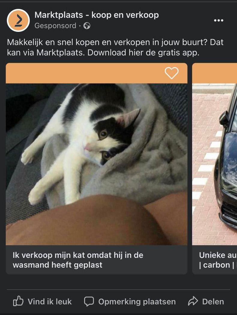 Gewoon een verzameling hilarische foto's #1599