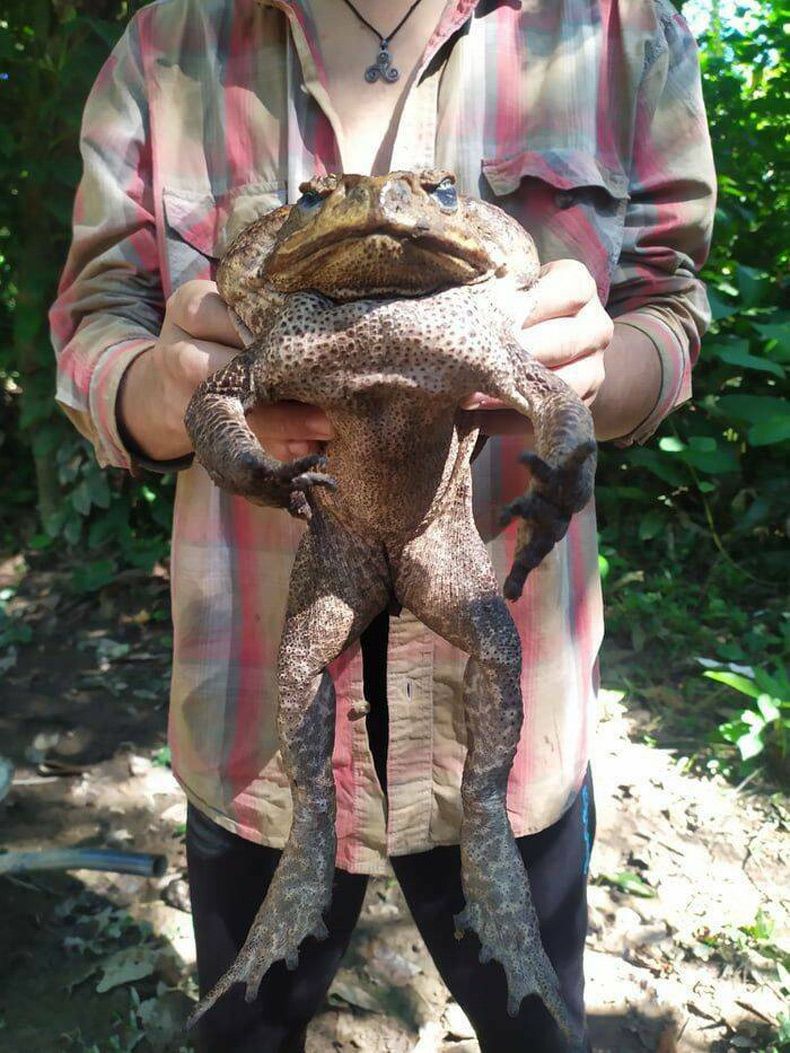 Gewoon een verzameling hilarische foto's #1599