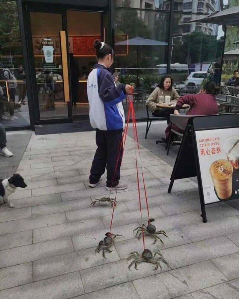 Gewoon een verzameling hilarische foto's #1599