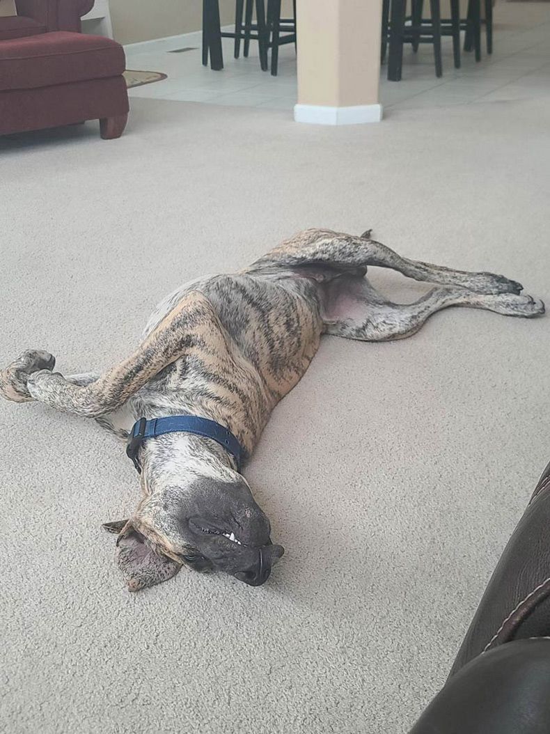 Gewoon een verzameling hilarische foto's #1599