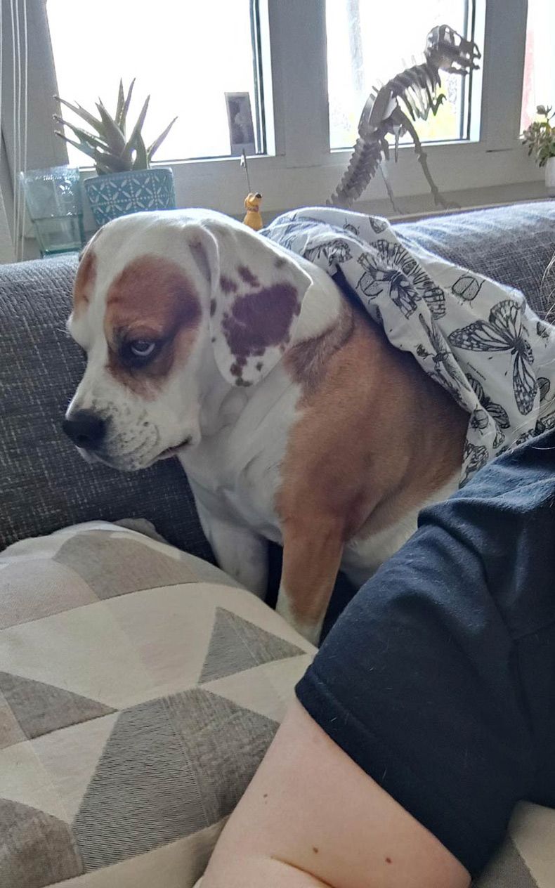 Gewoon een verzameling hilarische foto's #1599