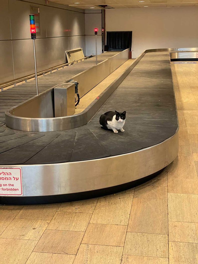 Gewoon een verzameling hilarische foto's #1599