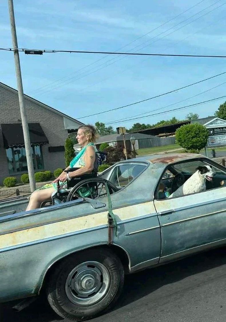 Gewoon een verzameling hilarische foto's #1600