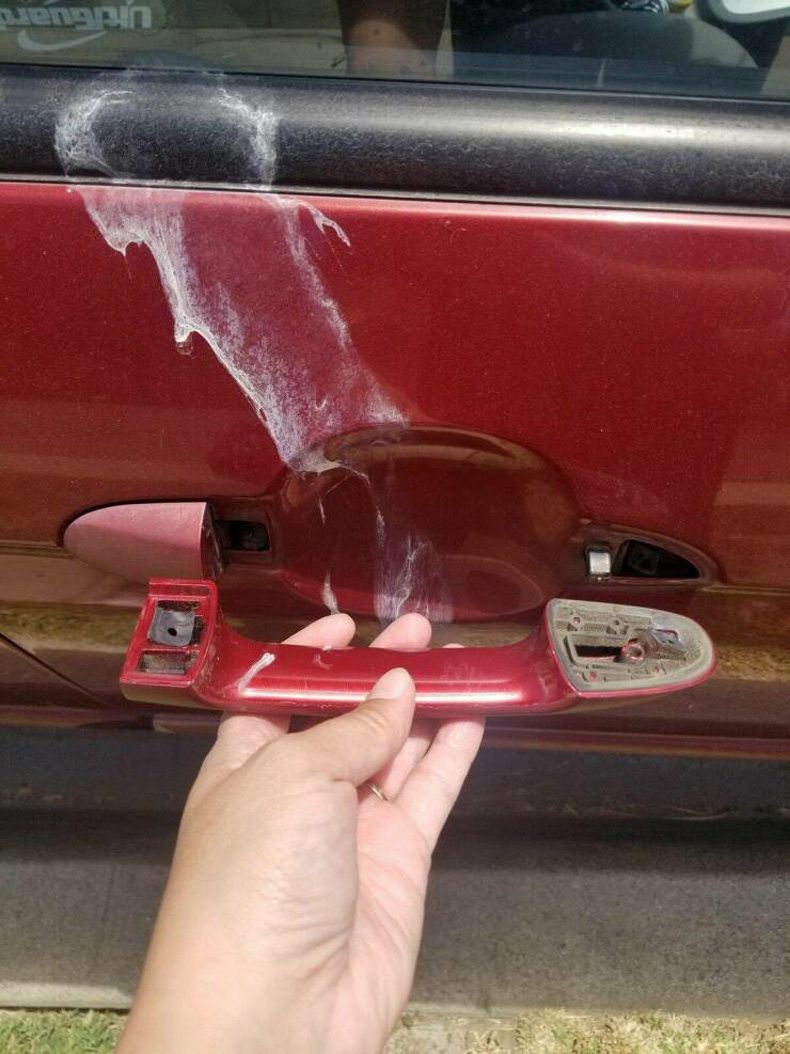 Gewoon een verzameling hilarische foto's #1600