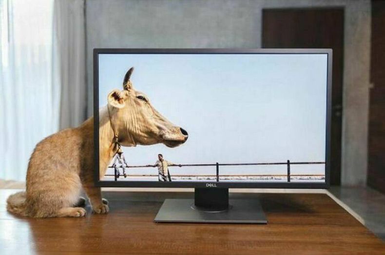 Gewoon een verzameling hilarische foto's #1600