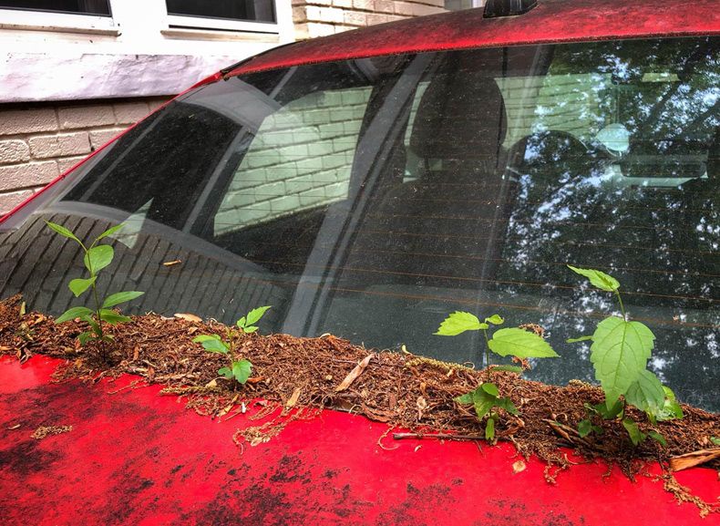 Gewoon een verzameling hilarische foto's #1600