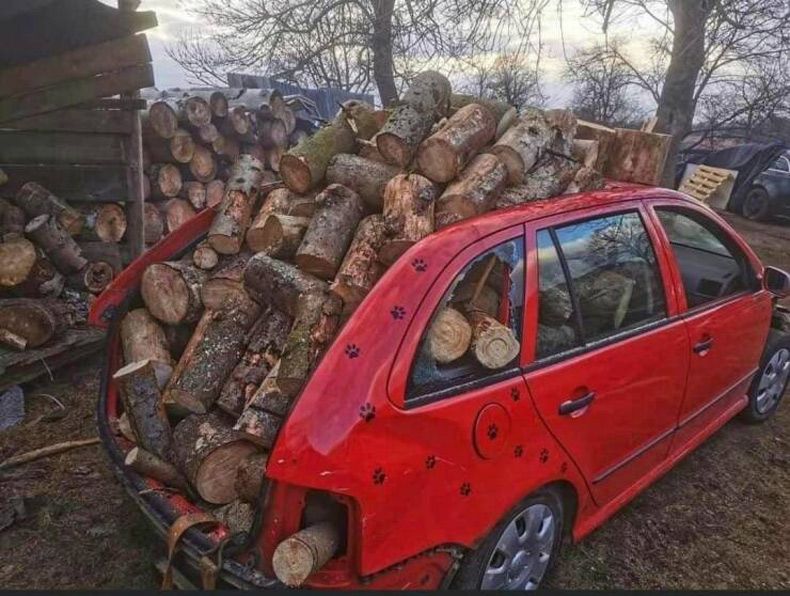 Gewoon een verzameling hilarische foto's #1601