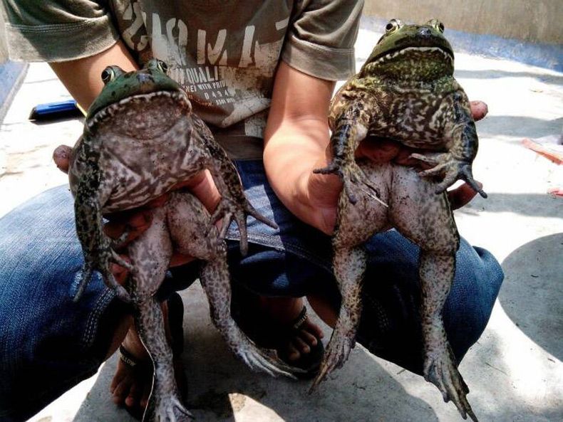 Gewoon een verzameling hilarische foto's #1601