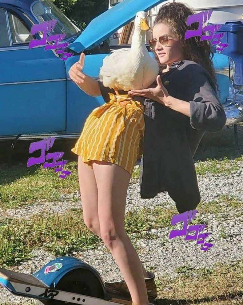 Gewoon een verzameling hilarische foto's #1601