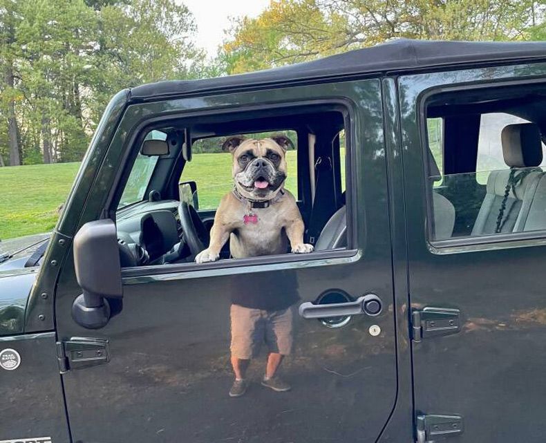 Gewoon een verzameling hilarische foto's #1601