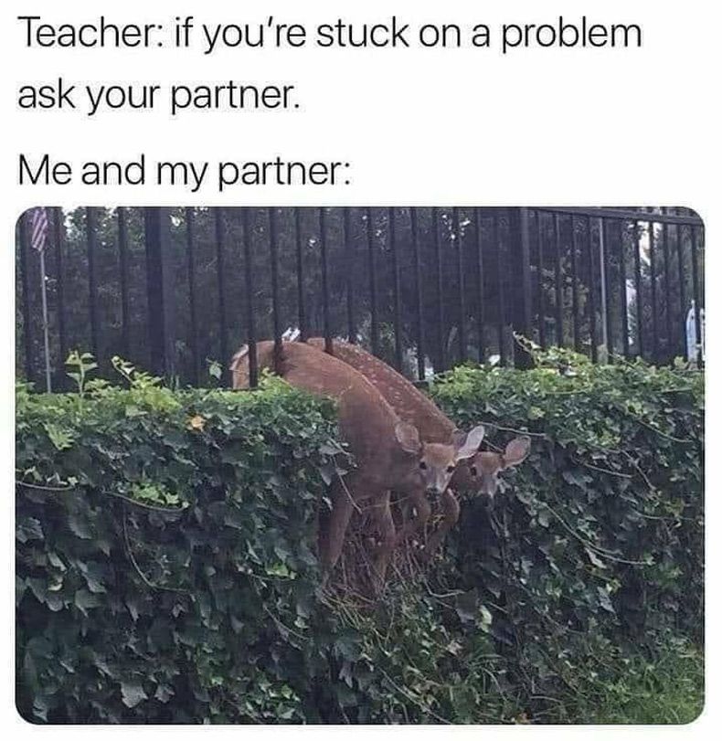 Gewoon een verzameling hilarische foto's #1601