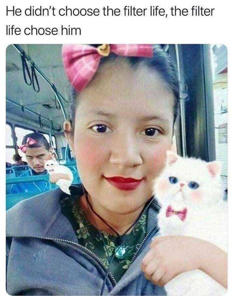 Gewoon een verzameling hilarische foto's #1601