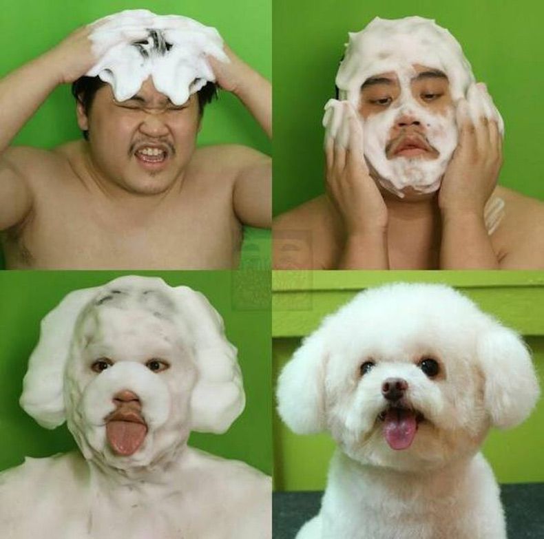 Gewoon een verzameling hilarische foto's #1601