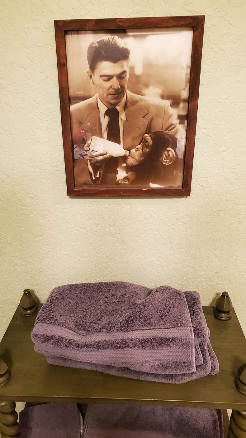 Gewoon een verzameling hilarische foto's #1601