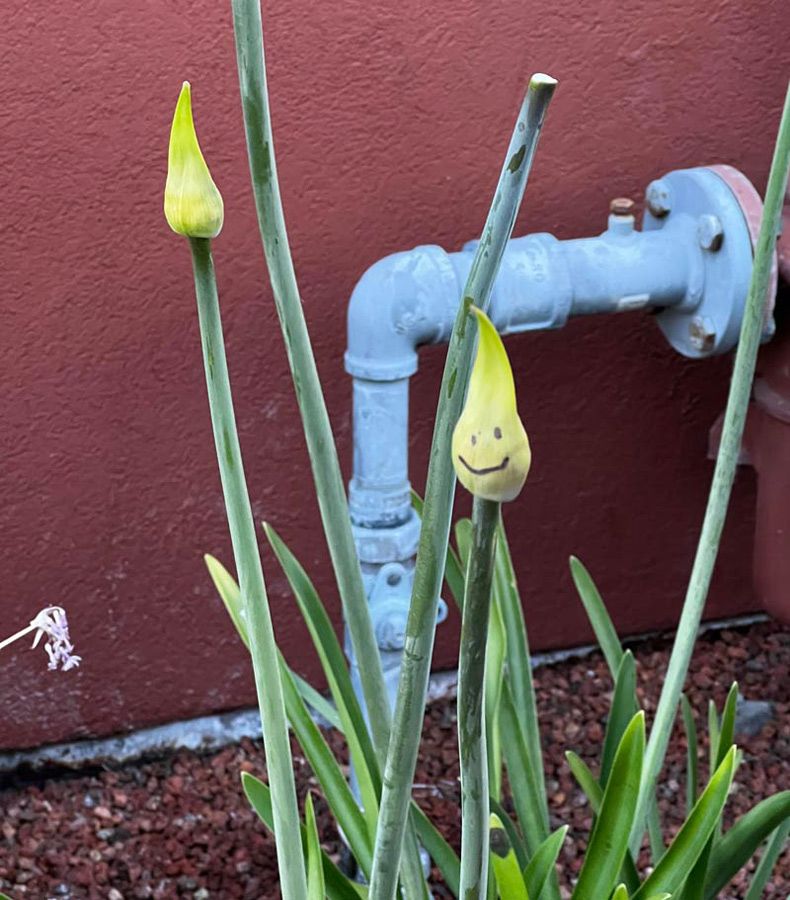 Gewoon een verzameling hilarische foto's #1601