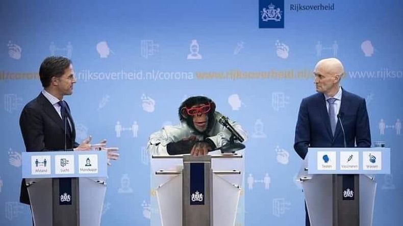 Gewoon een verzameling hilarische foto's #1601