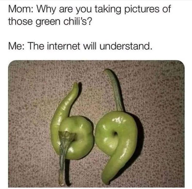 Gewoon een verzameling hilarische foto's #1601