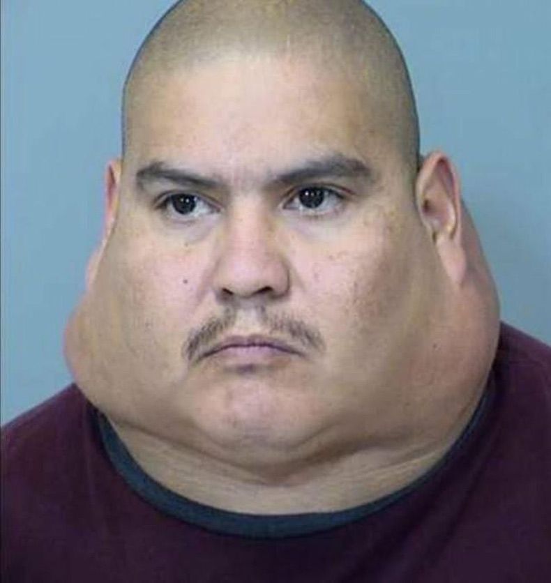 Gewoon een verzameling hilarische foto's #1602