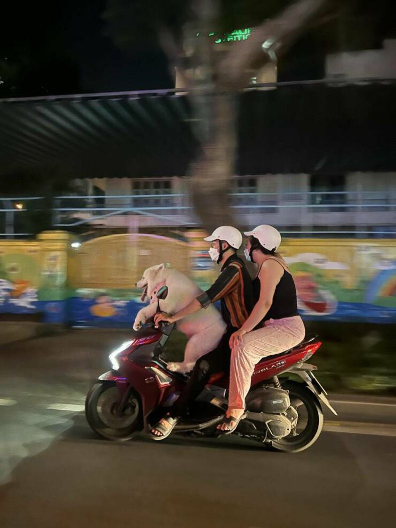 Gewoon een verzameling hilarische foto's #1602