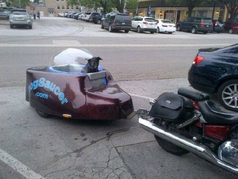 Gewoon een verzameling hilarische foto's #1602