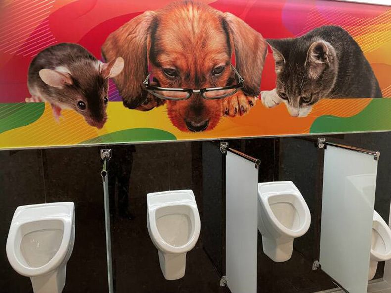 Gewoon een verzameling hilarische foto's #1602