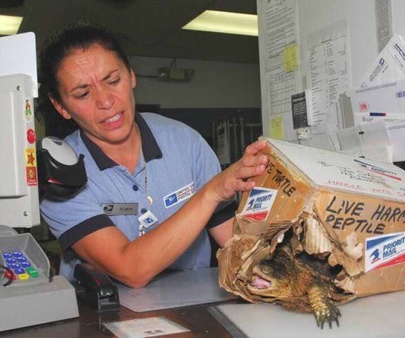 Gewoon een verzameling hilarische foto's #1602