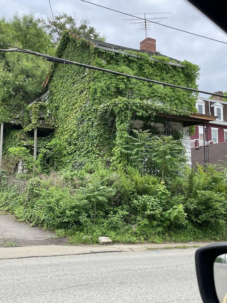 Gewoon een verzameling hilarische foto's #1602