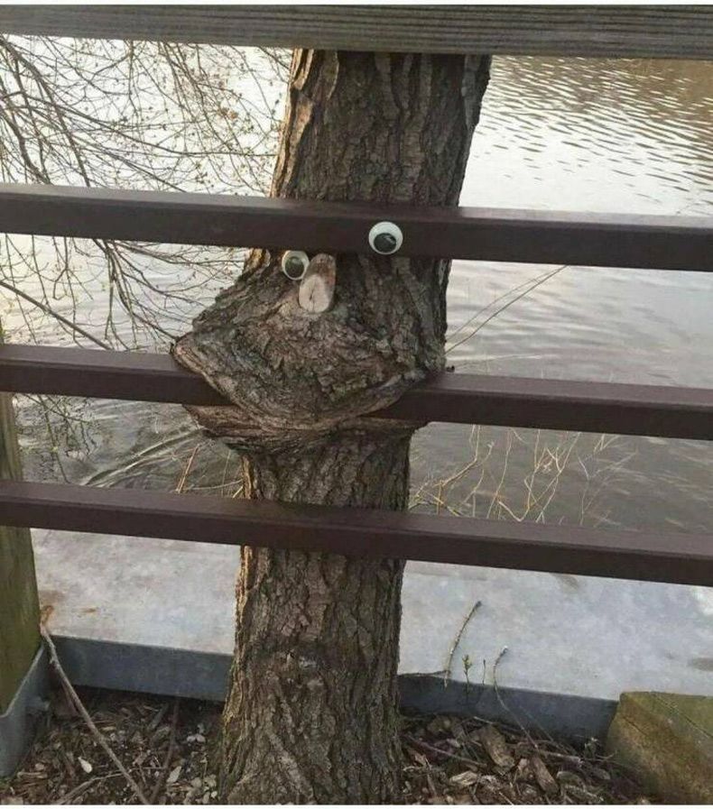 Gewoon een verzameling hilarische foto's #1602