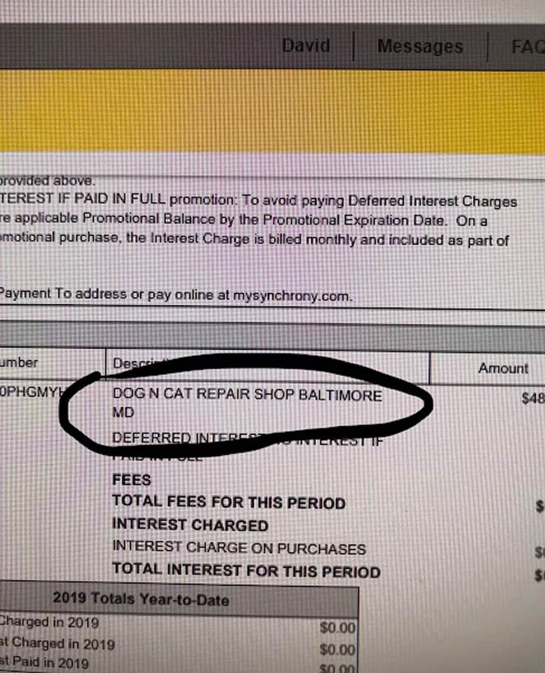 Gewoon een verzameling hilarische foto's #1602