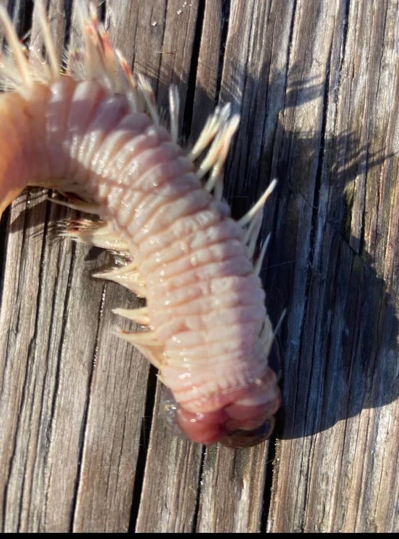 Gewoon een verzameling hilarische foto's #1602