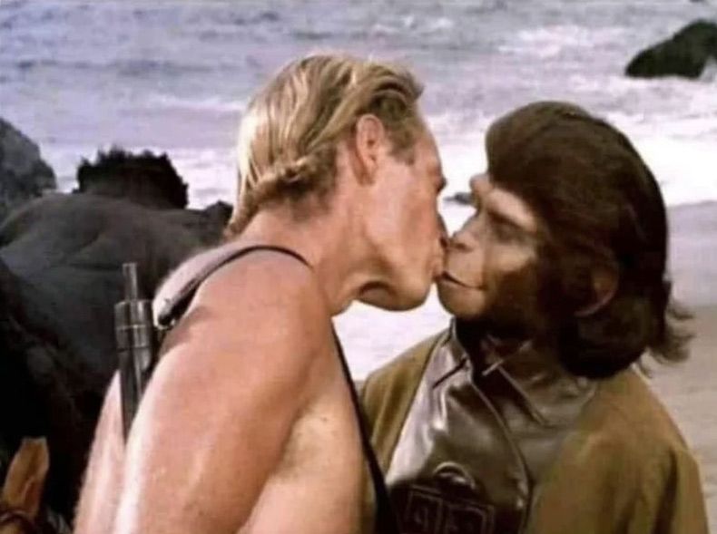 Gewoon een verzameling hilarische foto's #1602