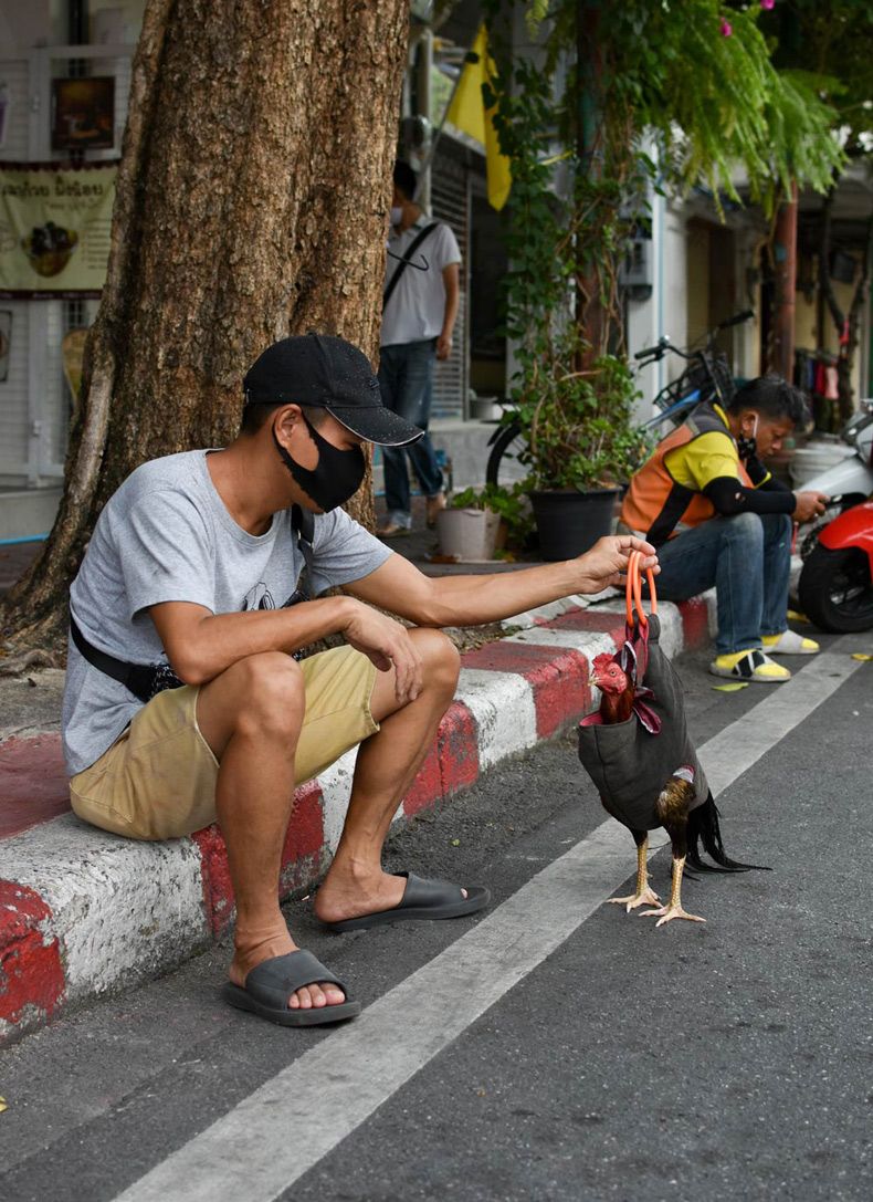 Gewoon een verzameling hilarische foto's #1602