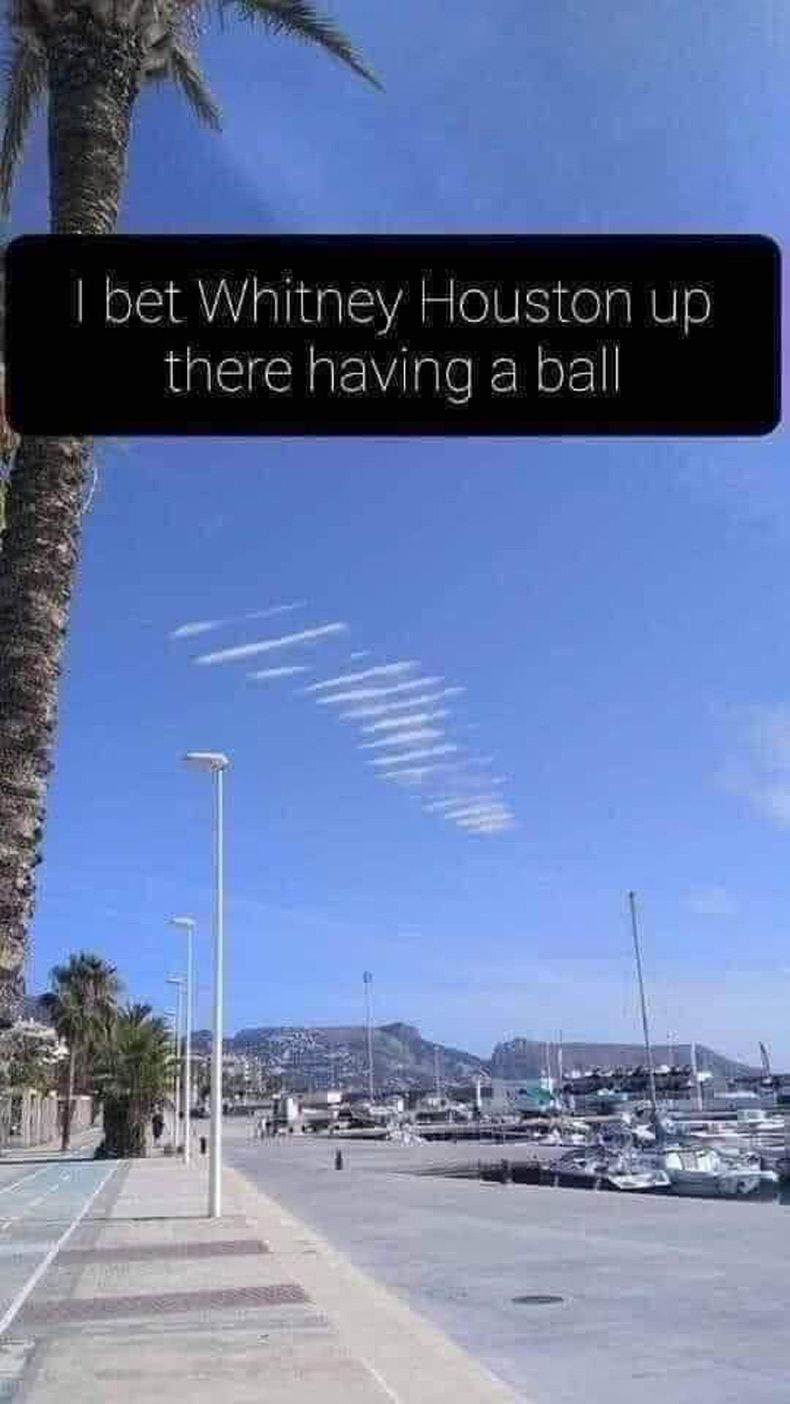 Gewoon een verzameling hilarische foto's #1602